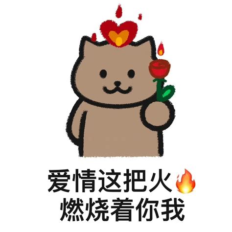 一猫人|大熊猫本猫的一猫人的个人空间